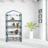 Garden Greenhouse Hot House Tomato Plant Warm House