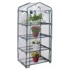 Garden Greenhouse Hot House Tomato Plant Warm House