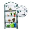 Garden Greenhouse Hot House Tomato Plant Warm House